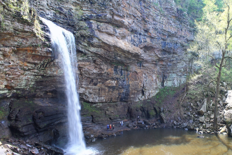 History Of Cedar Falls All About Conservation & Restoration of