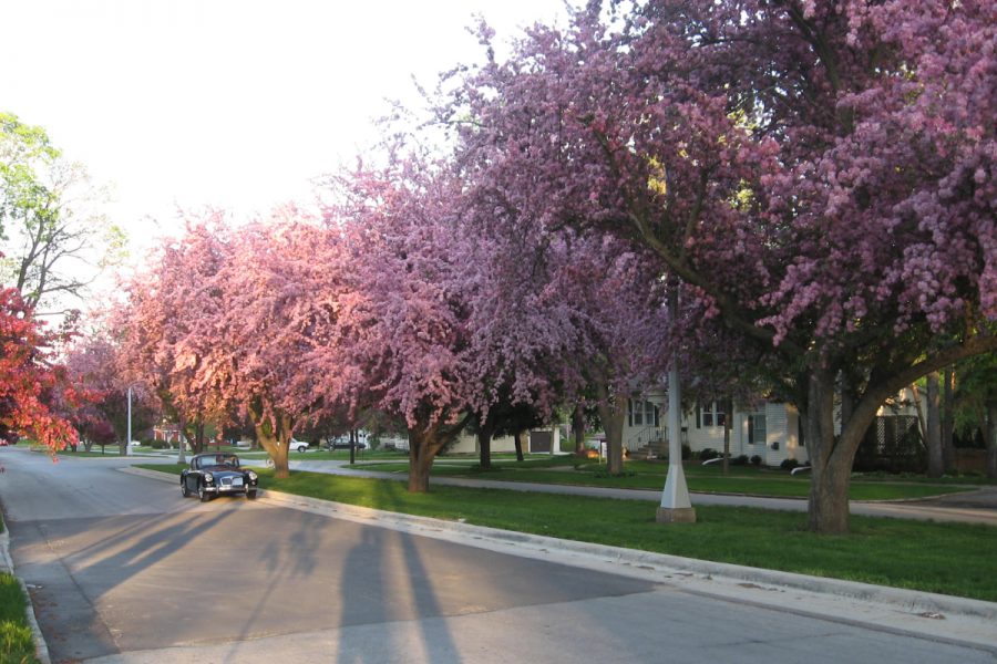 Know About The Landscape Of Seerley Boulevard-Cedar Falls